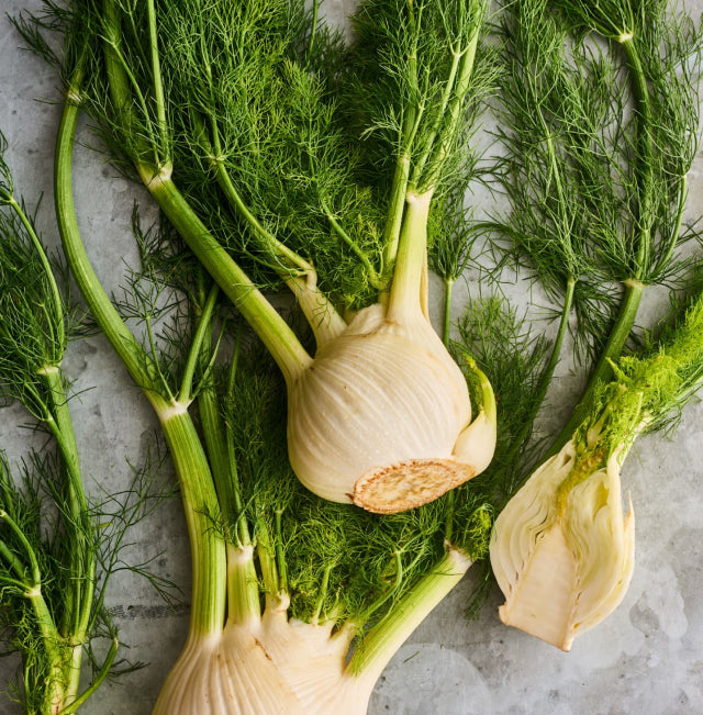 FENNEL