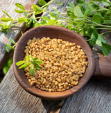 Fenugreek